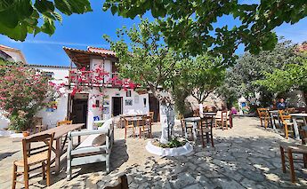 Courtyard of a traditional Greek village in Alonissos with tables, chairs, and vibrant flowers under a blue sky.