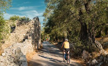 A cyclist rides along a rural path surrounded by stone walls and trees on the Sporades Islands in Greece.