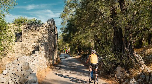 A cyclist rides along a rural path surrounded by stone walls and trees on the Sporades Islands in Greece.