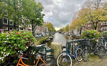 The canals of Amsterdam