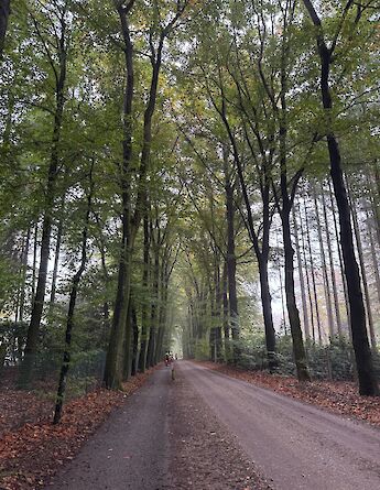 Cycling through a nature reserve in the Dutch countryside. ©Kirsten