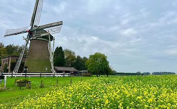 Traditional windmill along the cycle route