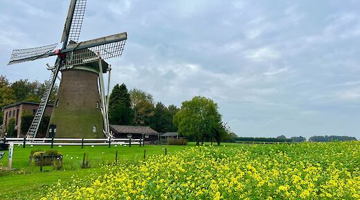 Traditional windmill along the cycle route