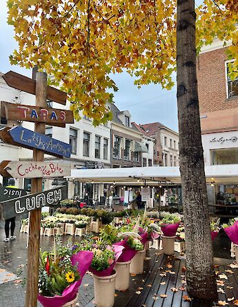 A colorful flower market in the historic city, Zutphen
