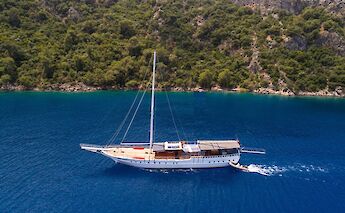 A sailboat named Milo M sails on deep blue water near a forested, rocky shoreline.
