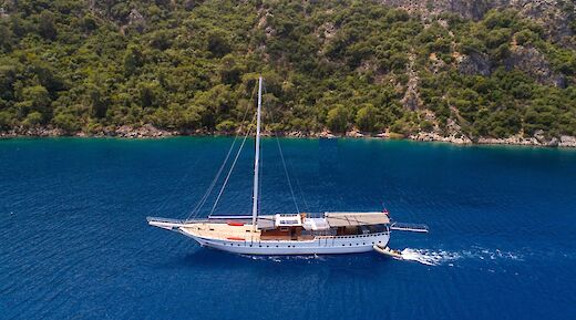 A sailboat named Milo M sails on deep blue water near a forested, rocky shoreline.
