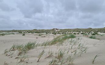 Terschelling has cycle paths with wide open views of the sea and dunes. to-BBT