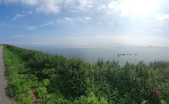 A scenic bike path along the IJsselmeer near Enkhuizen. to-BBT