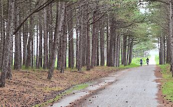 Terschelling has over 43 miles of biking paths! to-bbt