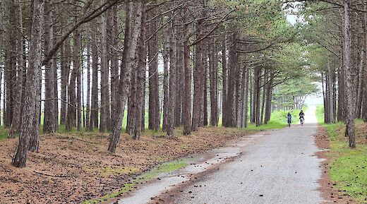 Terschelling has over 43 miles of biking paths! to-bbt