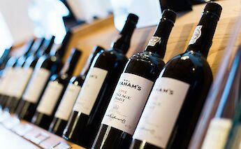 Port, Vila Nova de Gaia, Portugal bike tours. Bruno Martins@Unsplash