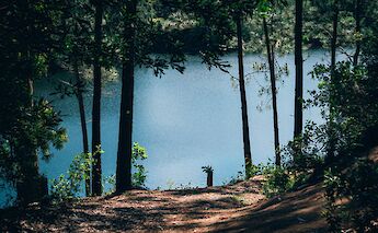 Sintra, Portugal bike tours. Edgar@Unsplash