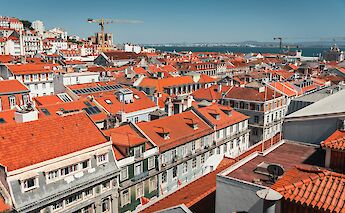 Red roofs of Lisbon, Portugal bike tours. Davey Gravy@Unsplash