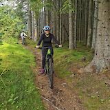 Biking past trees, Voss, Norway. CC:Outdoor Norway