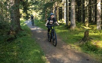 Cyclists riding e-mountain bikes on a forest path surrounded by tall trees in Voss, Norway.
