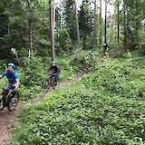 Biking along a path in Bomoen Forest, Voss, Norway. CC:Outdoor Norway