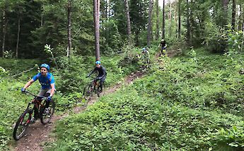 Biking along a path in Bomoen Forest, Voss, Norway. CC:Outdoor Norway