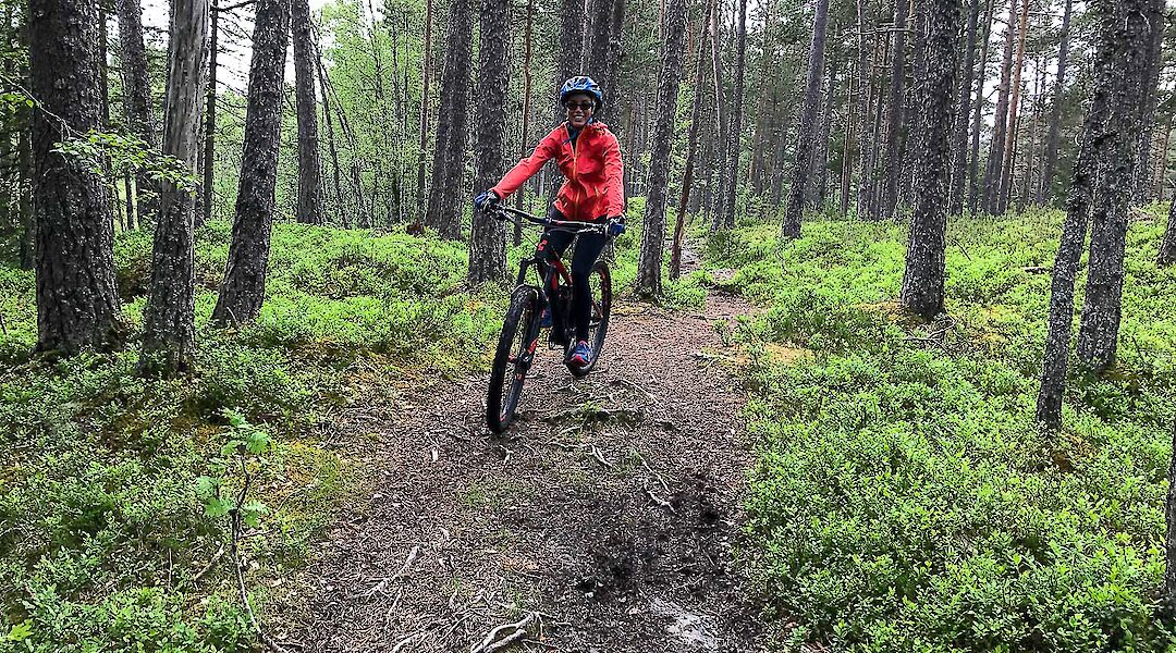 Mountain biking in Bomoen Forest, Voss, Norway. CC:Outdoor Norway