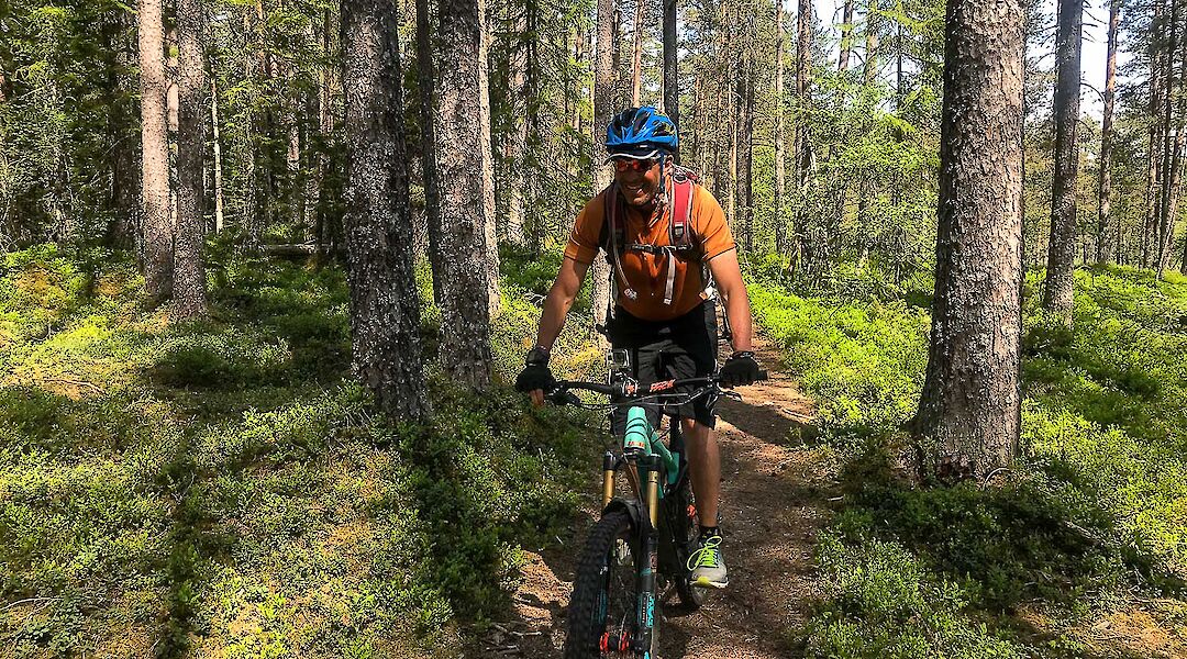 MTBing in Bomoen Forest, Voss, Norway. CC:Outdoor Norway