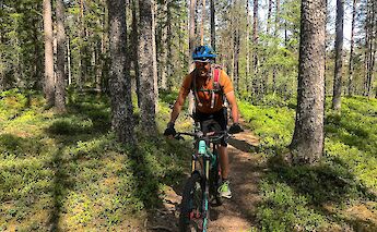 MTBing in Bomoen Forest, Voss, Norway. CC:Outdoor Norway