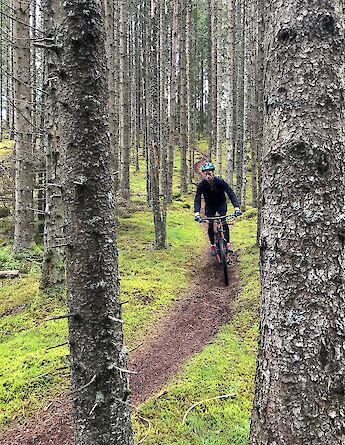 MTBing through trees in Bomoen Forest, Voss, Norway. CC:Outdoor Norway