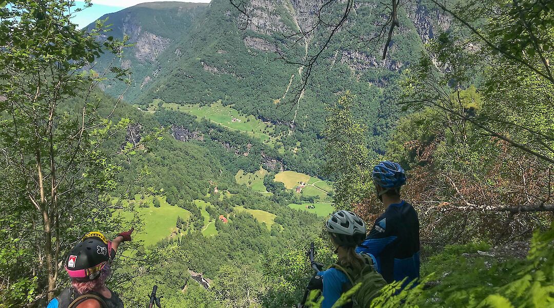 Forested hills, Voss, Norway. CC:Outdoor Norway
