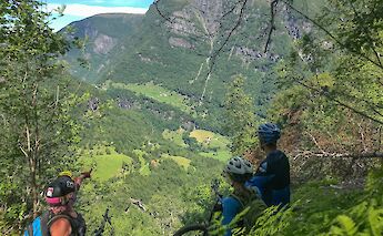 Forested hills, Voss, Norway. CC:Outdoor Norway
