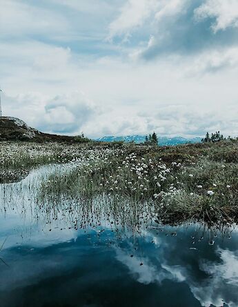Icy water, Voss. Norway. Lene Jensen@Unsplash