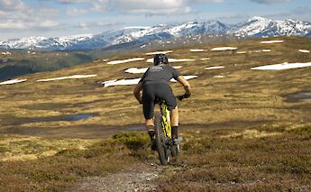 Grand Traverse MTB trails, Voss, Norway. CC:Outdoor Norway