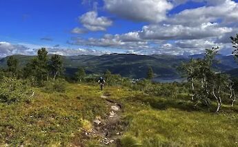 MTBing on rural trails in Voss, Norway. CC:Outdoor Norway