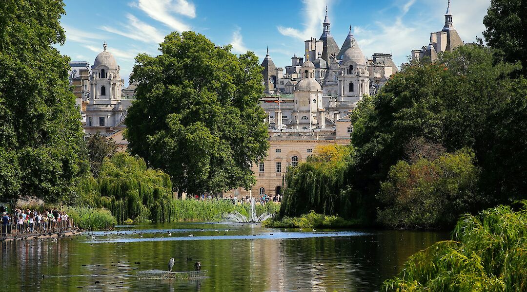 Ducks on the lake in Hyde Park, London, England. Simon Hurry@Unsplash