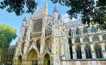 Trees around Westminster Abbey, London, England. Ian Branch@Unsplash