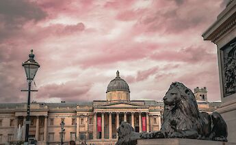 Lion statues in Trafalgar Square, London, England. George Ciobra@Unsplash