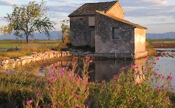 Albufeira Natural Park, Spain. CC: Marcela Escandell