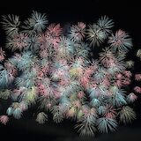 Multi colored fireworks. Kazuend@Unsplash