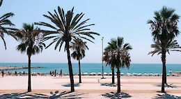 Highlights of Barcelona E-Bike Tour