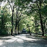 Statue in the Tiergarten, Berlin, Germany. Chad Greiter@Unsplash