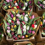 Bouquets of tulips, Amsterdam, Holland. Unsplash:Alice Dietrich