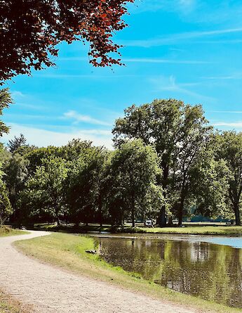 Lake at the Kroller-Muller Museum, Otterlo, Holland. Unsplash:PJ DC