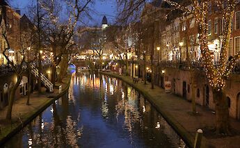 Lights in the trees, Utrecht, Holland. Unsplash:Martin Woortman