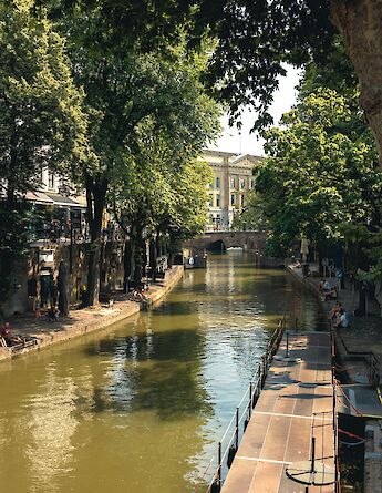 Trees over the river in Utrecht, Holland. Unsplash:Uitbundig
