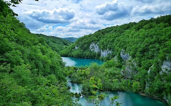 Lush greenery around Dubrovnik, Croatia. Mihael Hertaric@Unsplash