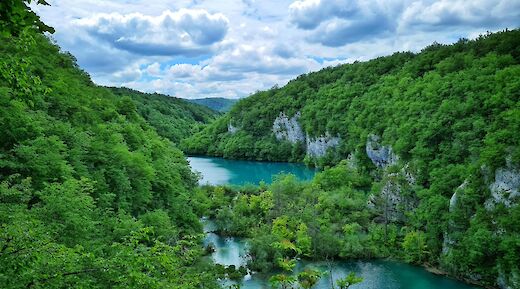 Lush greenery around Dubrovnik, Croatia. Mihael Hertaric@Unsplash