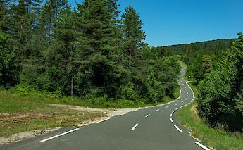 Road near Dubrovnik, Croatia. Ilse@Unsplash
