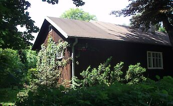 Finnish cottage, Warsaw, Poland. Monika@Unsplash