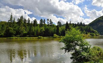 Banks of the Saar River, Germany. Flickr:Tristan Schmurr