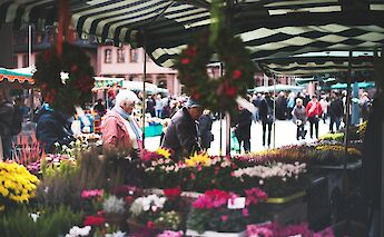 Flower market in Mainz, Germany. Unsplash:Todd Gardner