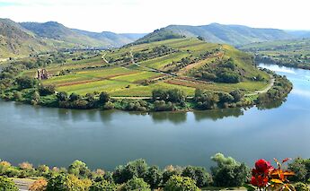 Moselschleife, Bremm, Germany. Unsplash:Bruno Neurath Wilson