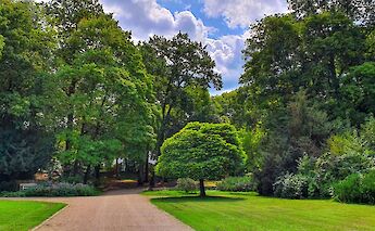Park in Trier, Germany. Unsplash:Abdul Lateef