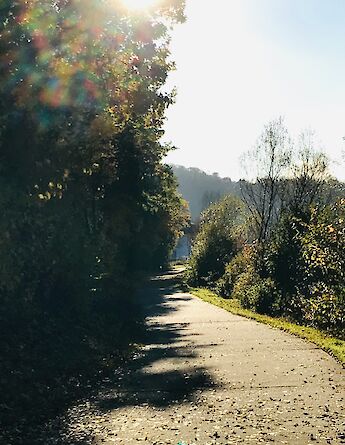 Path in Saarburg, Germany. Unsplash:Aron Schmitz